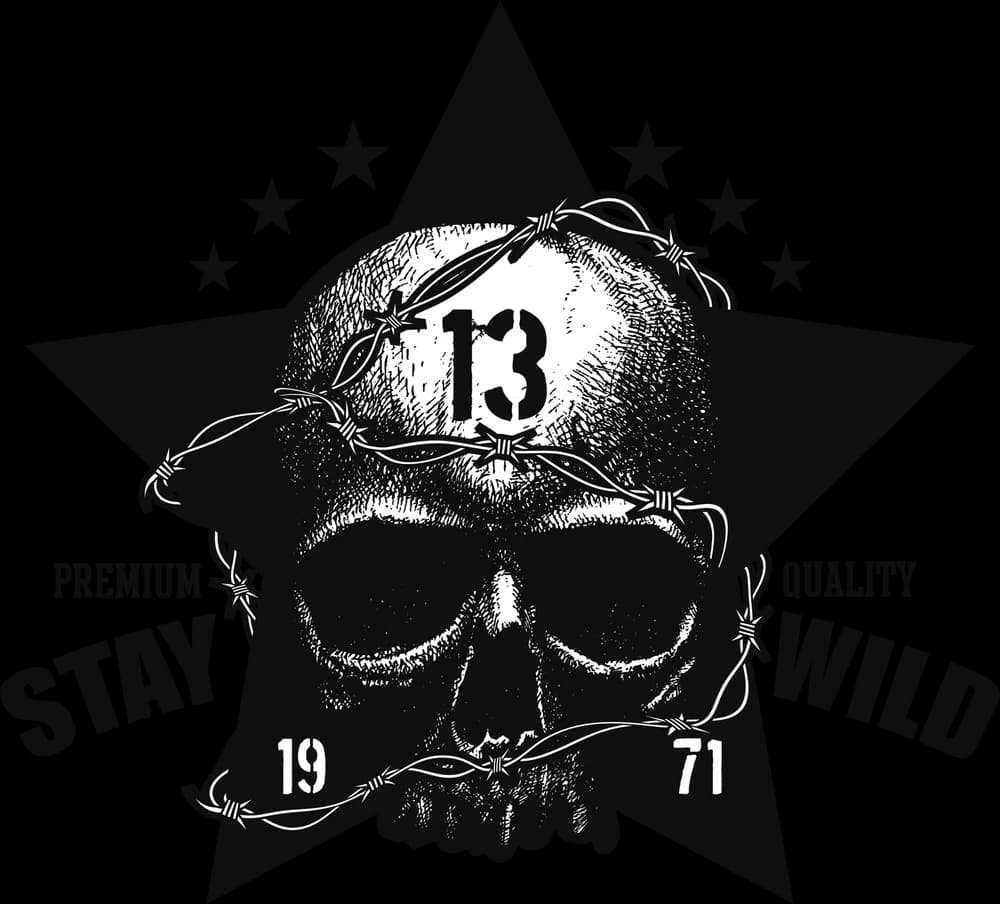 DTF-принт 1431