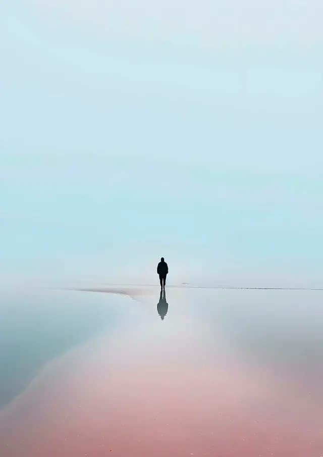 Постер 779
