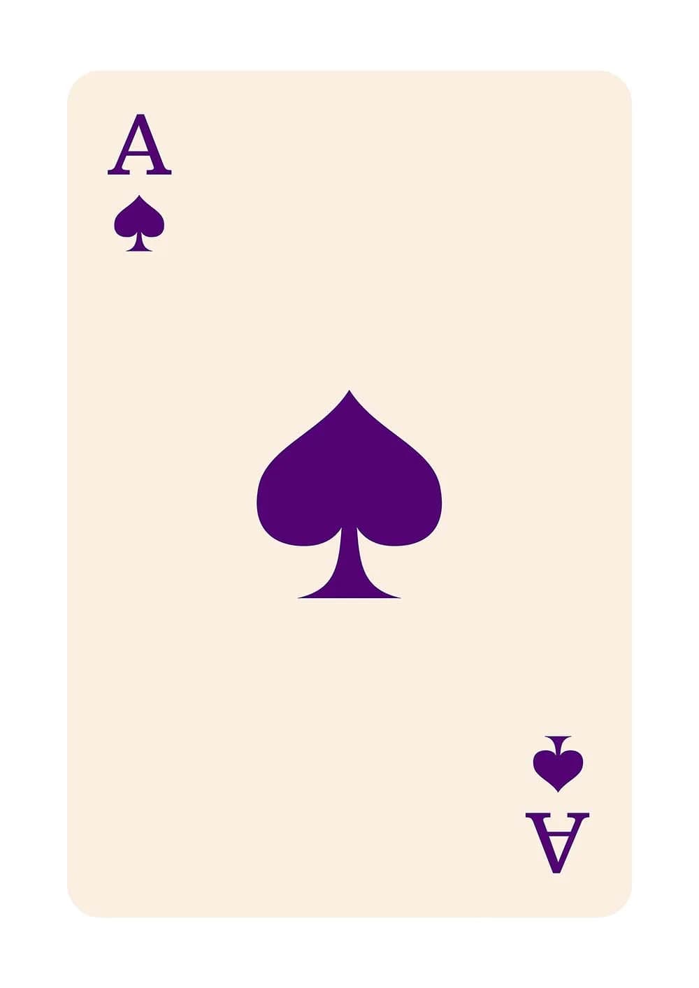 Постер 1325