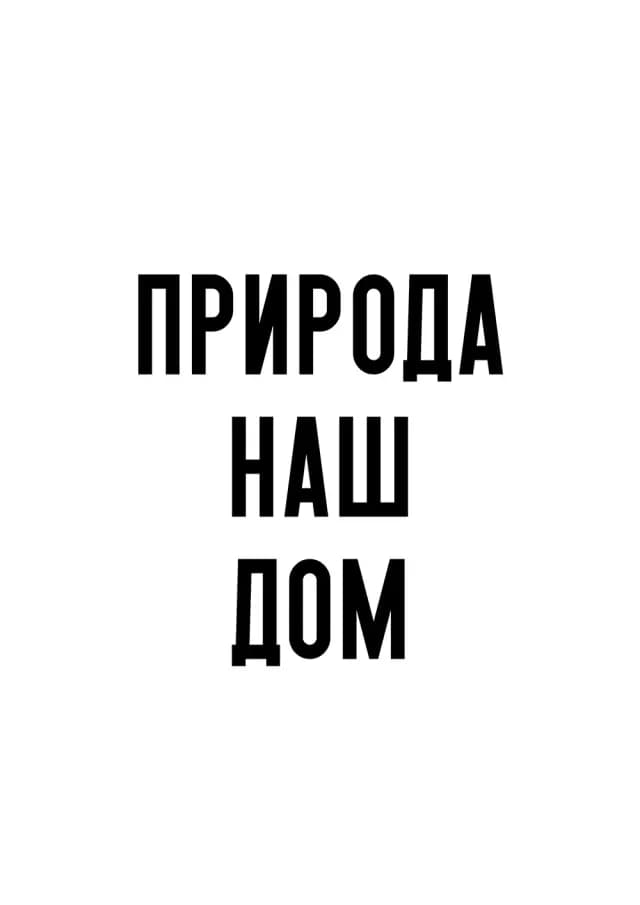 Постер 5903