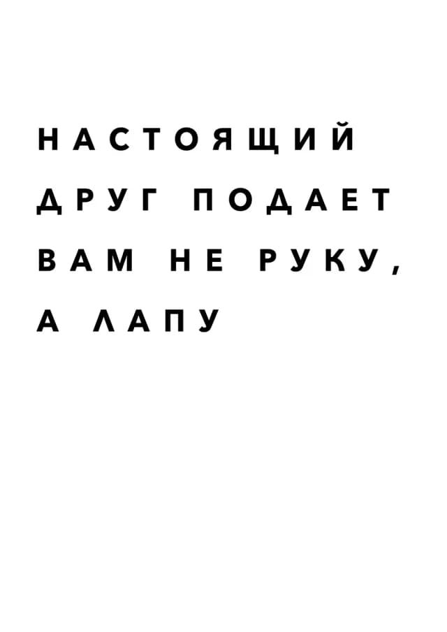 Постер 4828