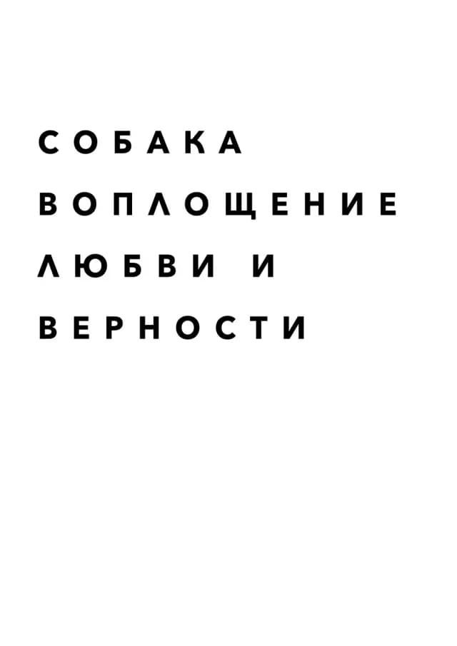 Постер 4939