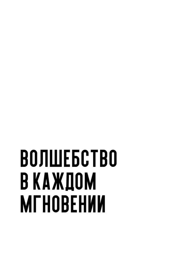 Постер 5081