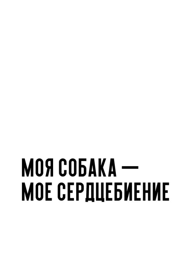 Постер 5199