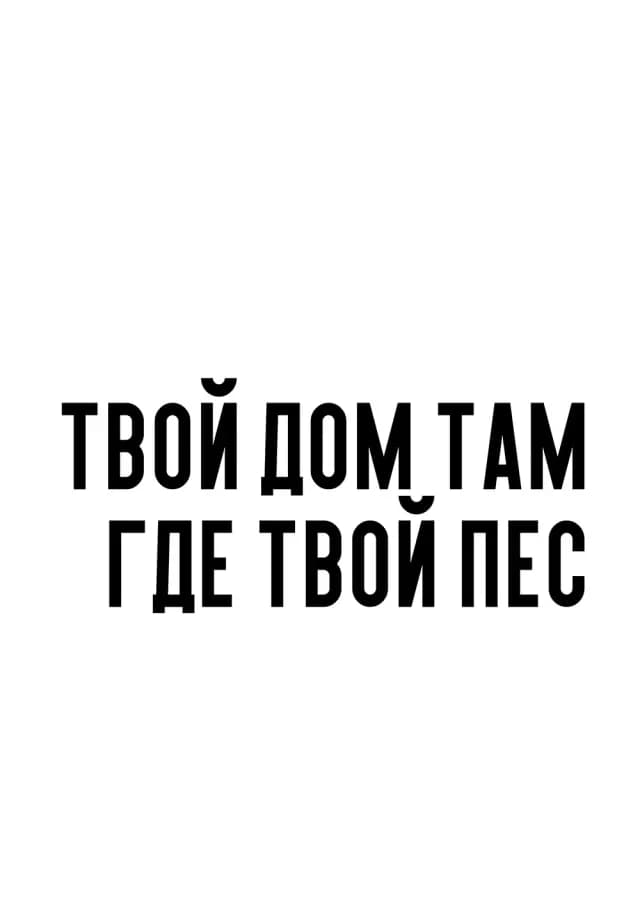 Постер 5331