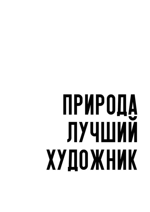 Постер 5439