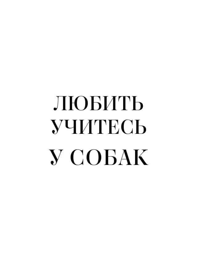Постер 5493