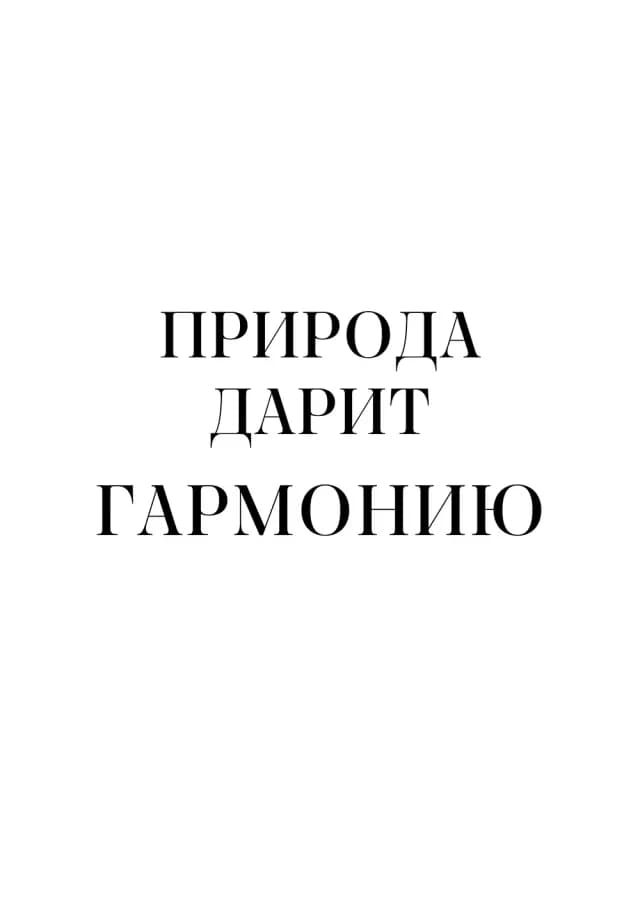 Постер 5510