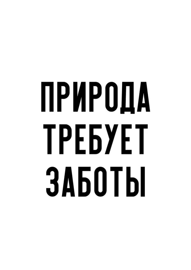 Постер 5511