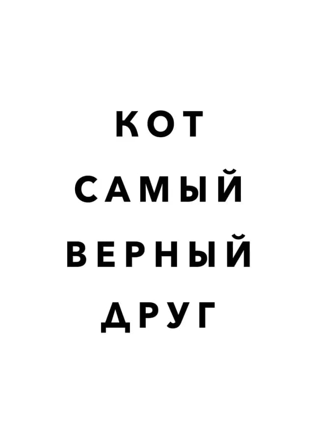 Постер 5553