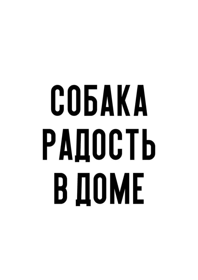 Постер 5585