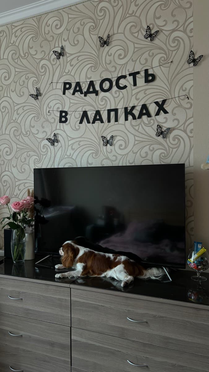 Фотография покупателя: Гирлянды