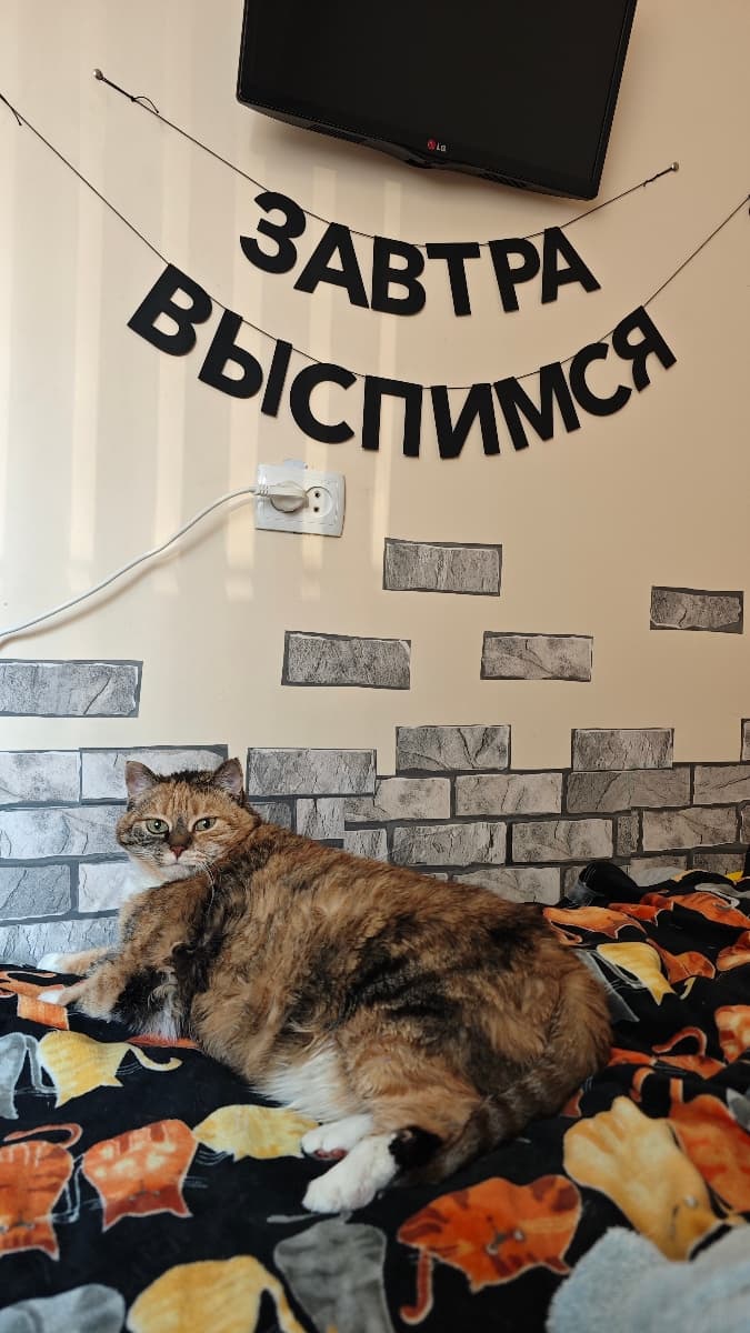 Фотография покупателя: Гирлянды