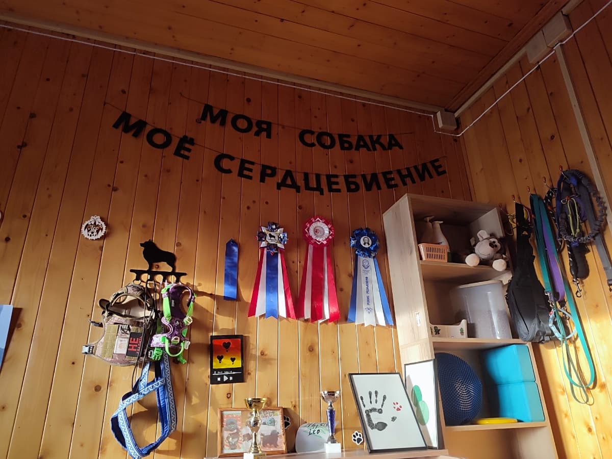 Фотография покупателя: Гирлянды