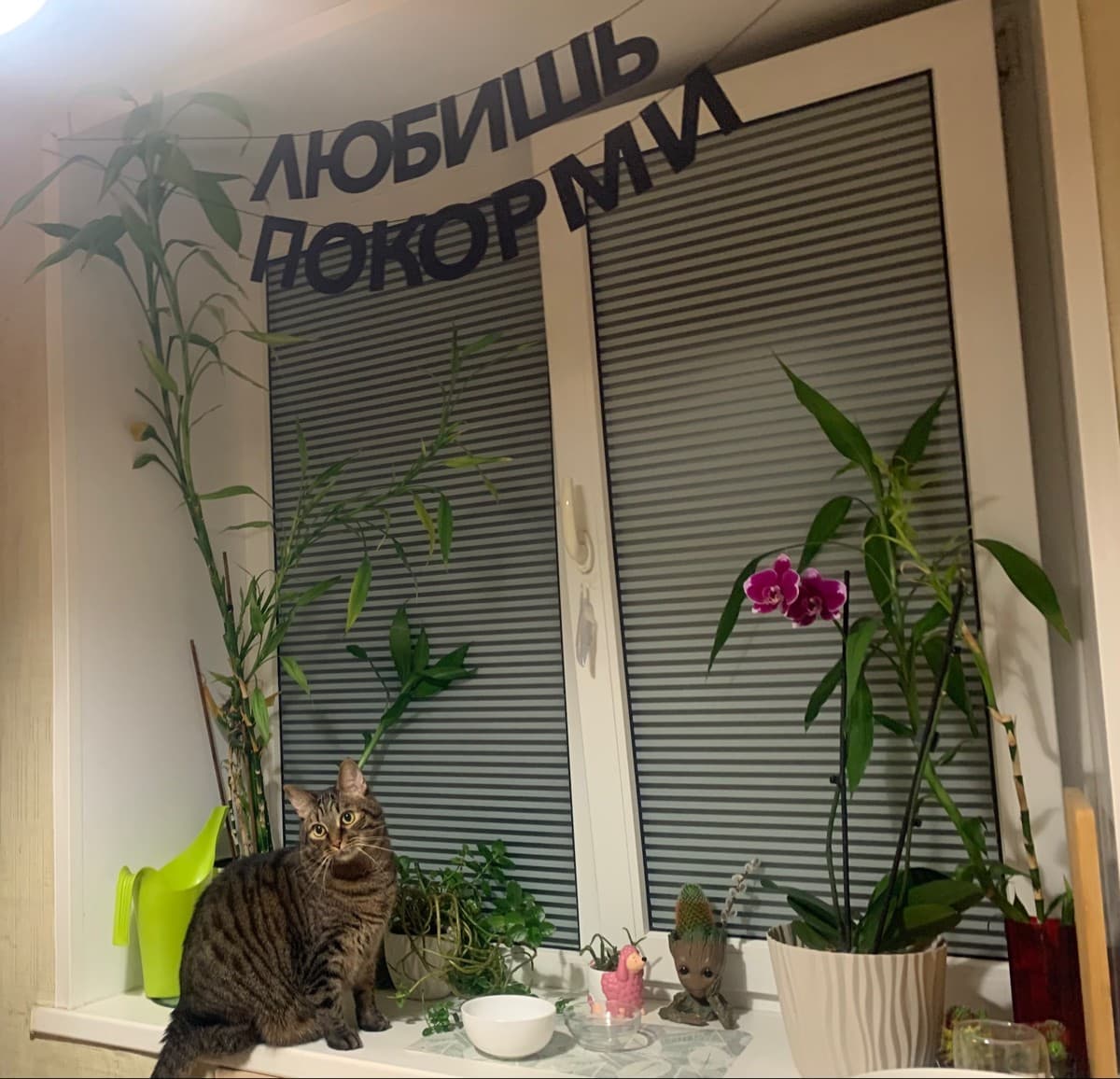 Фотография покупателя: Гирлянды