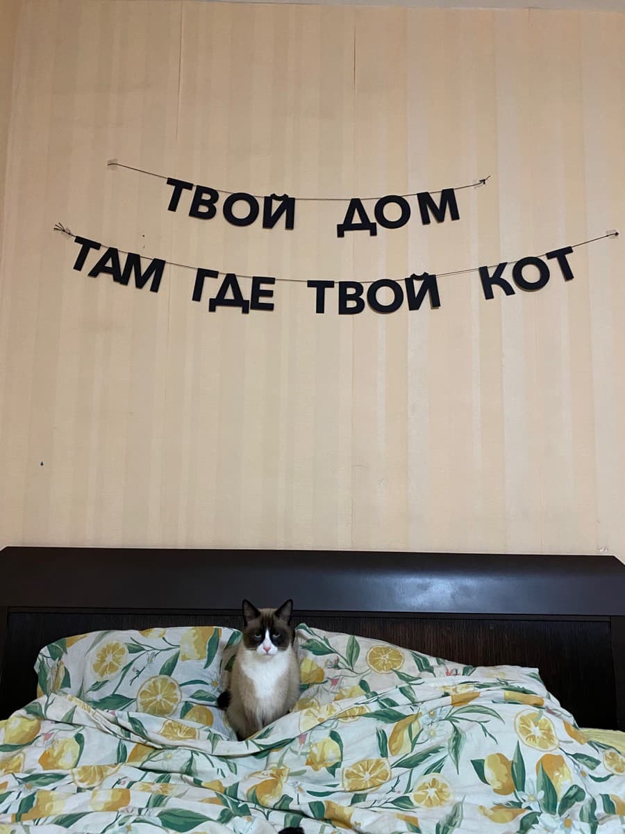 Фотография покупателя: Гирлянды