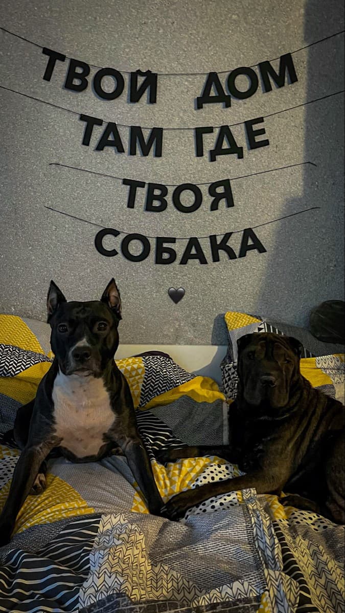 Фотография покупателя: Гирлянды