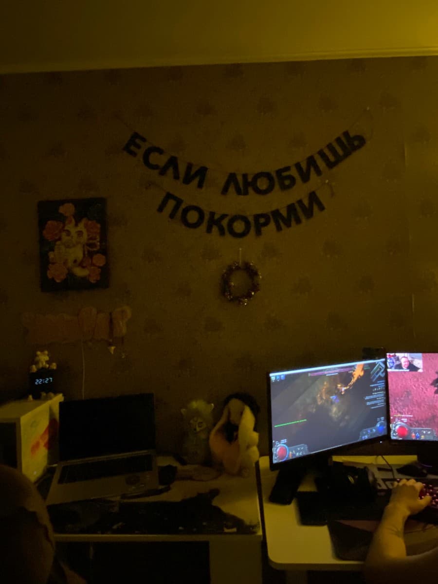 Фотография покупателя: Гирлянды