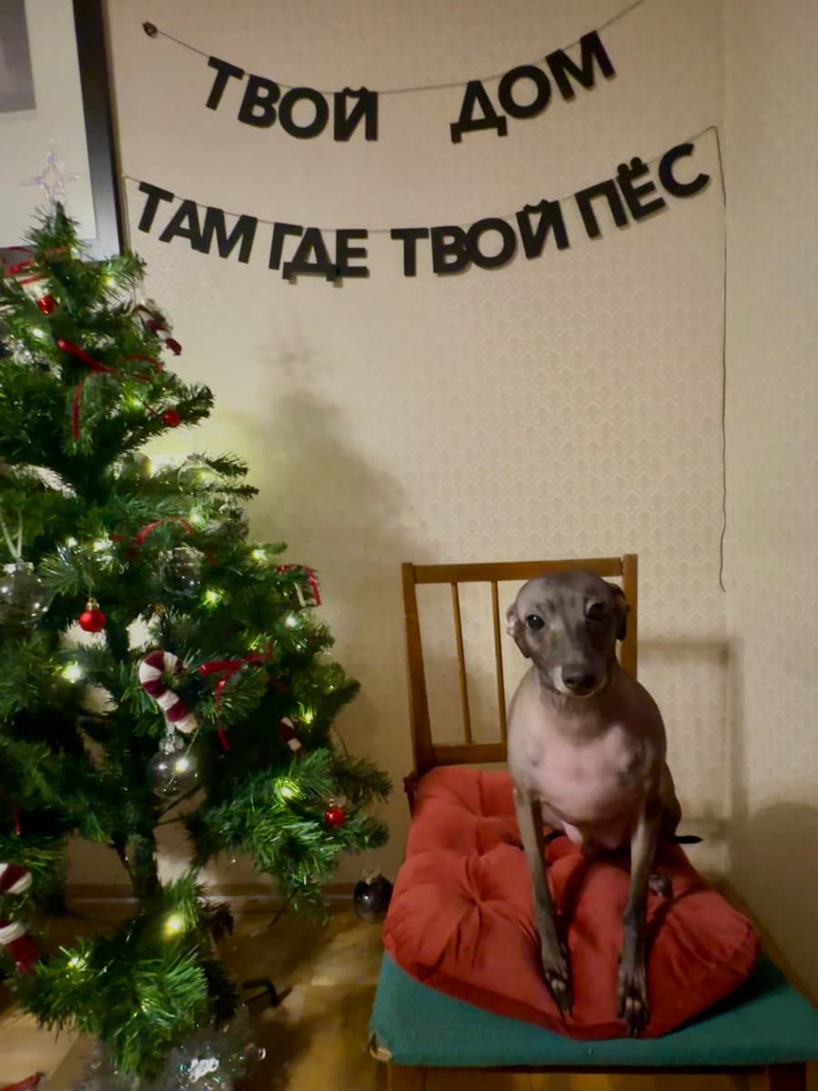 Фотография покупателя: Гирлянды
