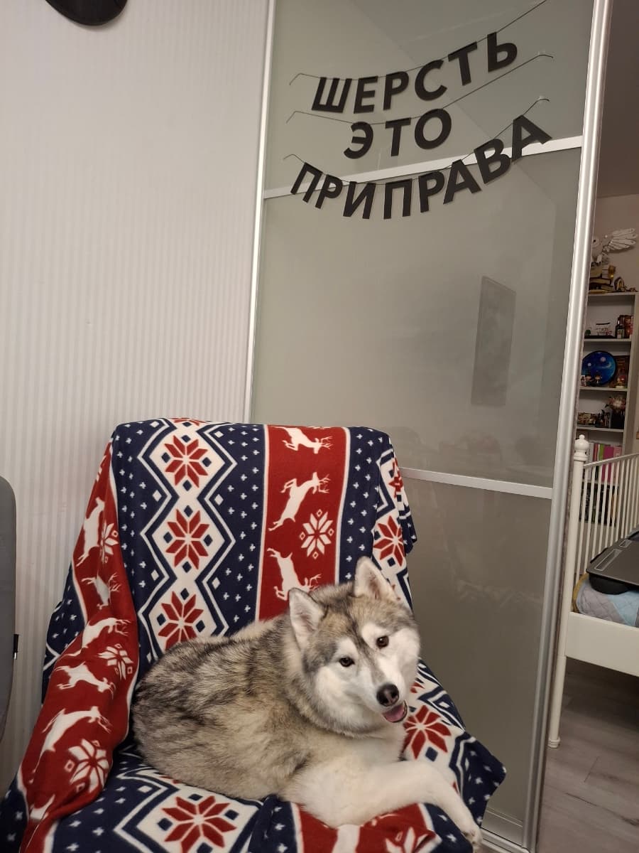 Фотография покупателя: Гирлянды