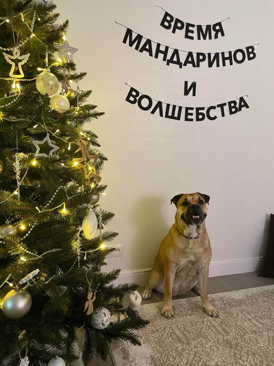 Фотография покупателя: Гирлянды