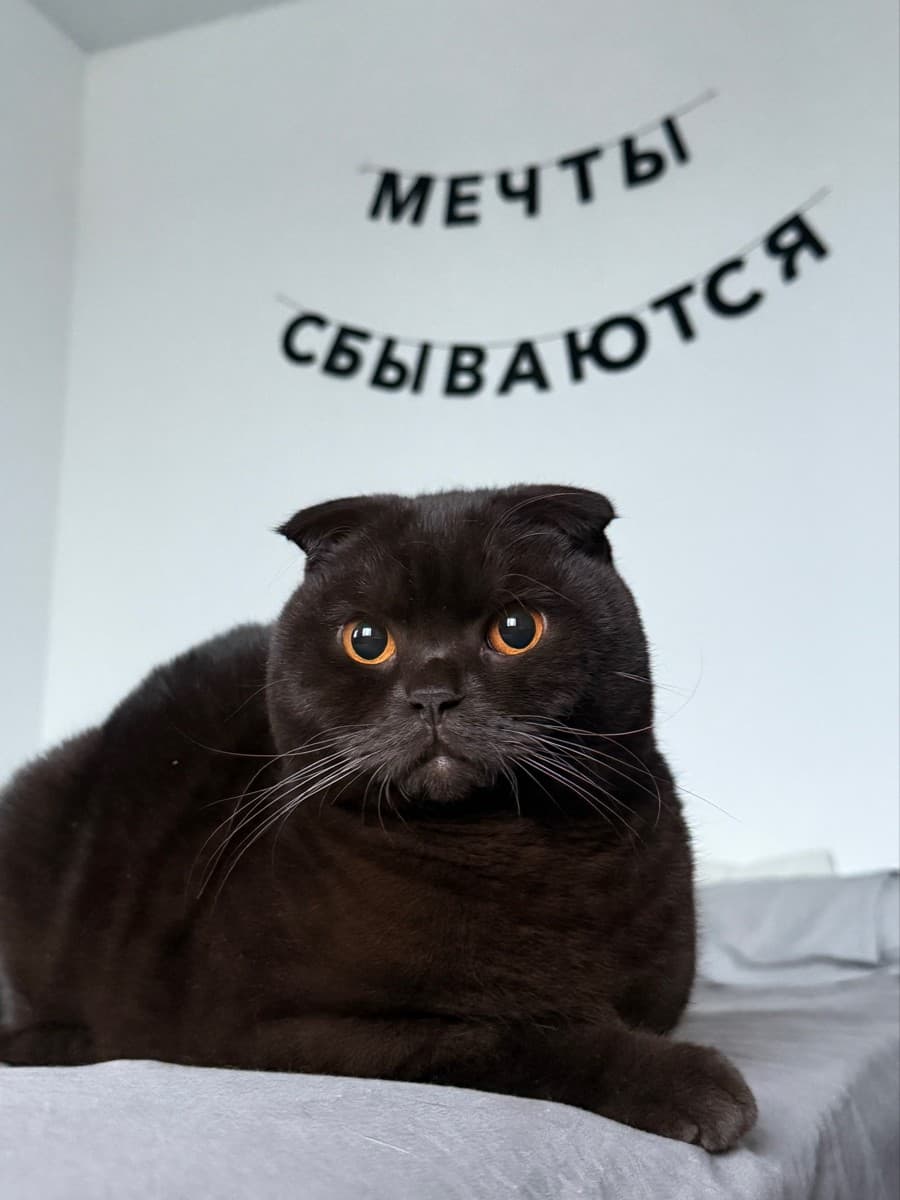 Фотография покупателя: Гирлянды