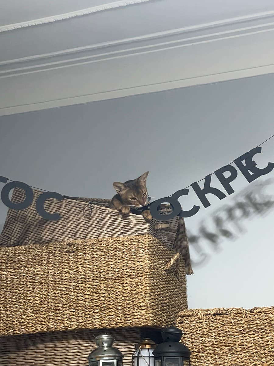 Фотография покупателя: Гирлянды