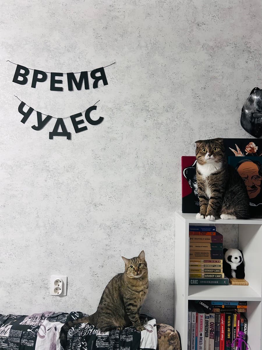 Фотография покупателя: Гирлянды