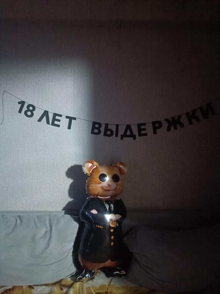 Фотография покупателя: Гирлянды