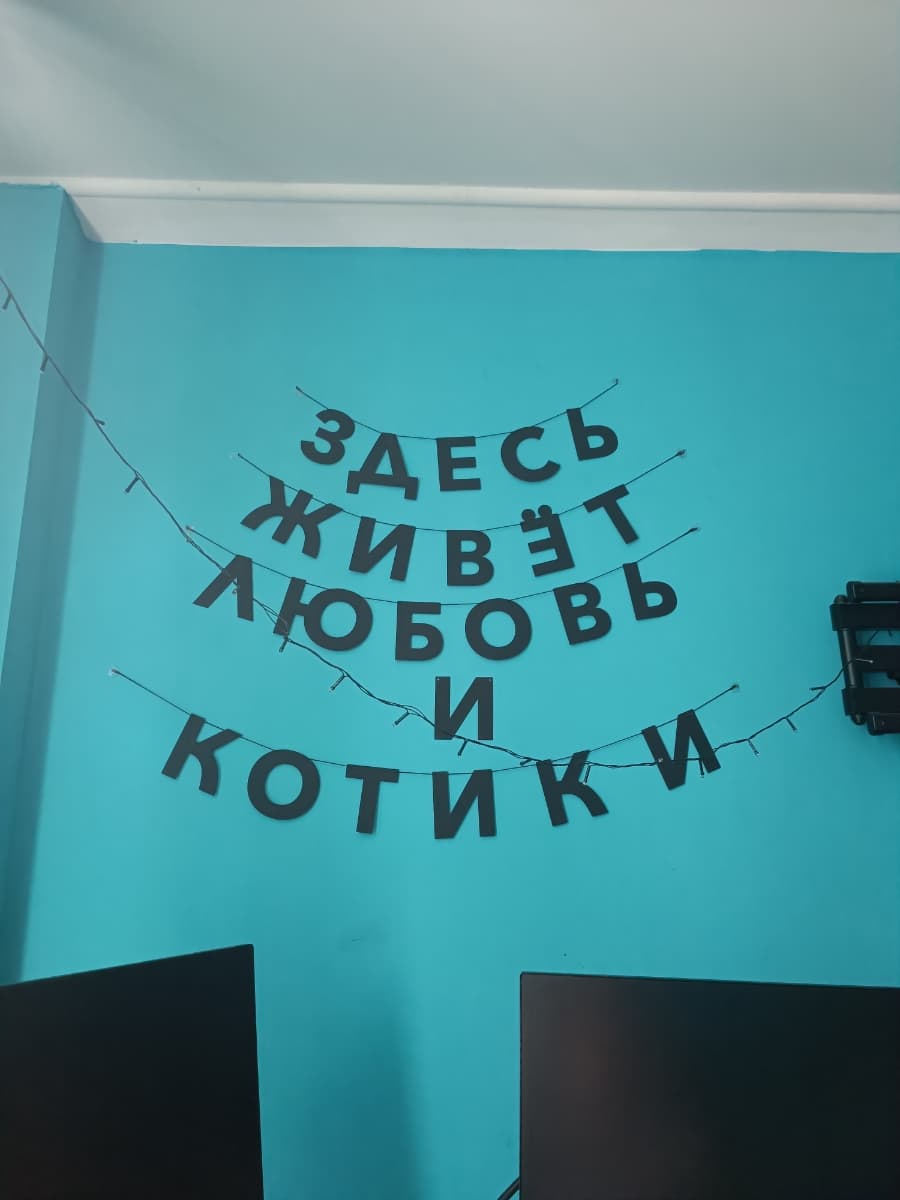 Фотография покупателя: Гирлянды