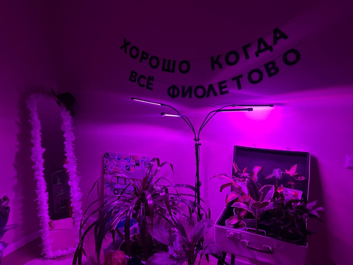 Фотография покупателя: Гирлянды