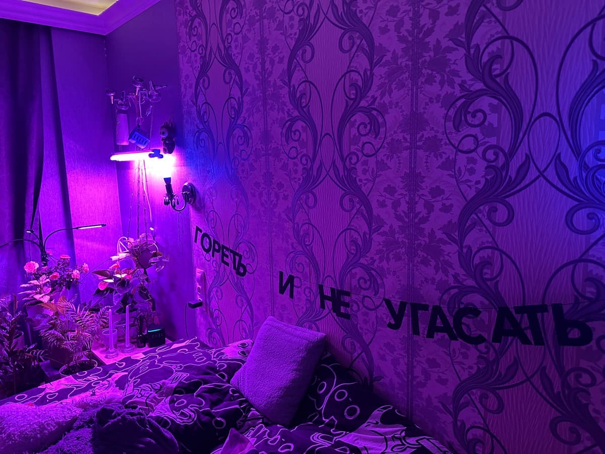 Фотография покупателя: Гирлянды