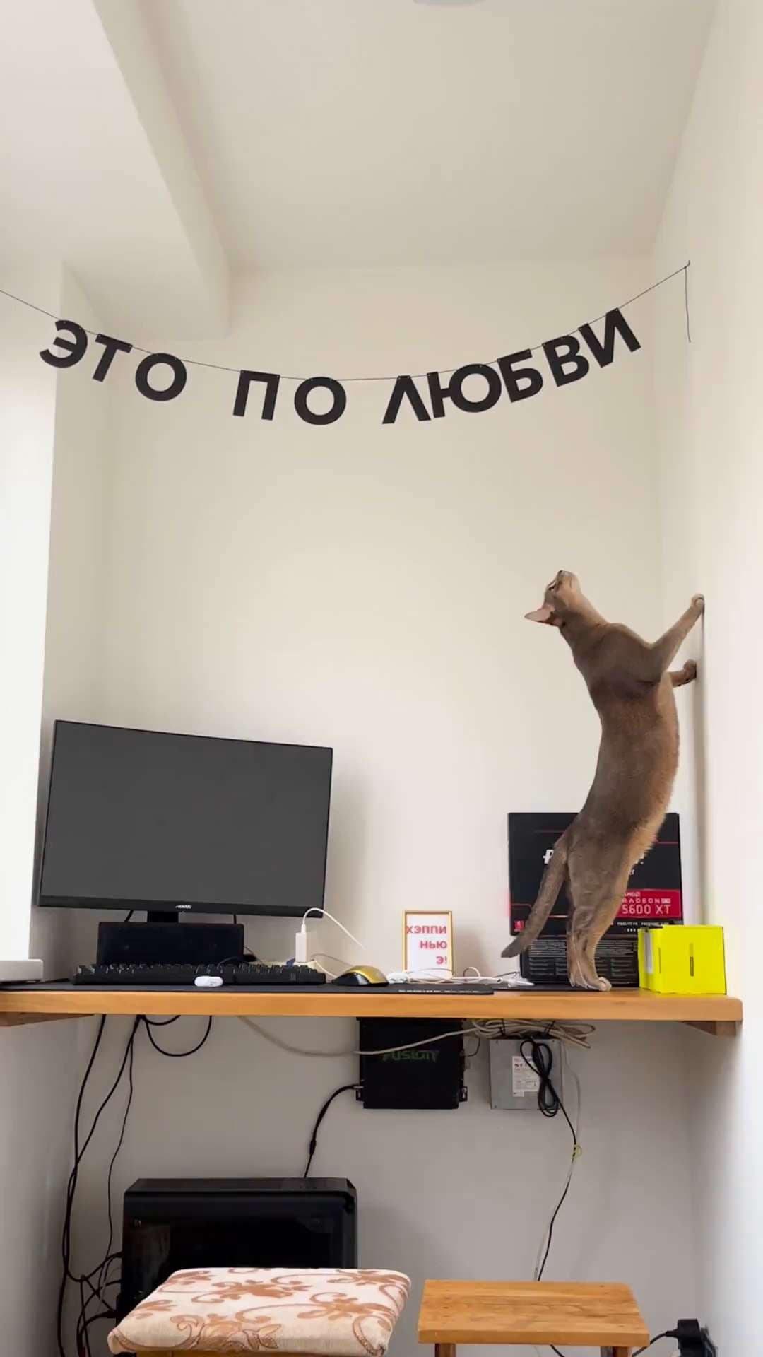 Фотография покупателя: Гирлянды