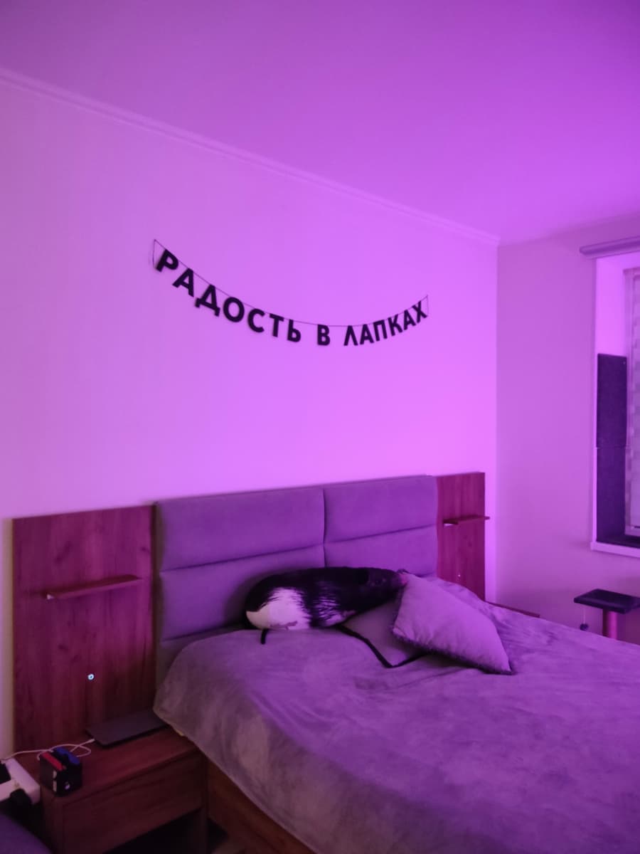 Фотография покупателя: Гирлянды