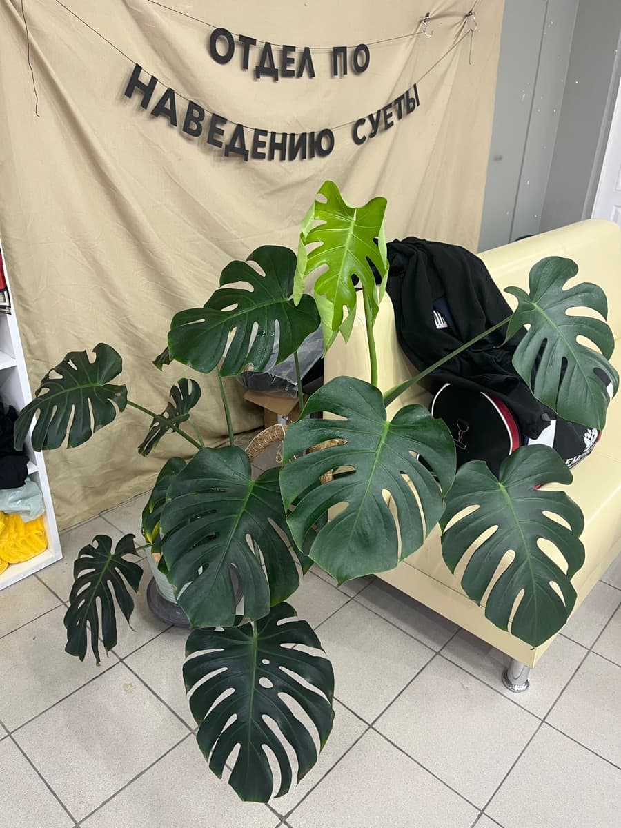 Фотография покупателя: Гирлянды