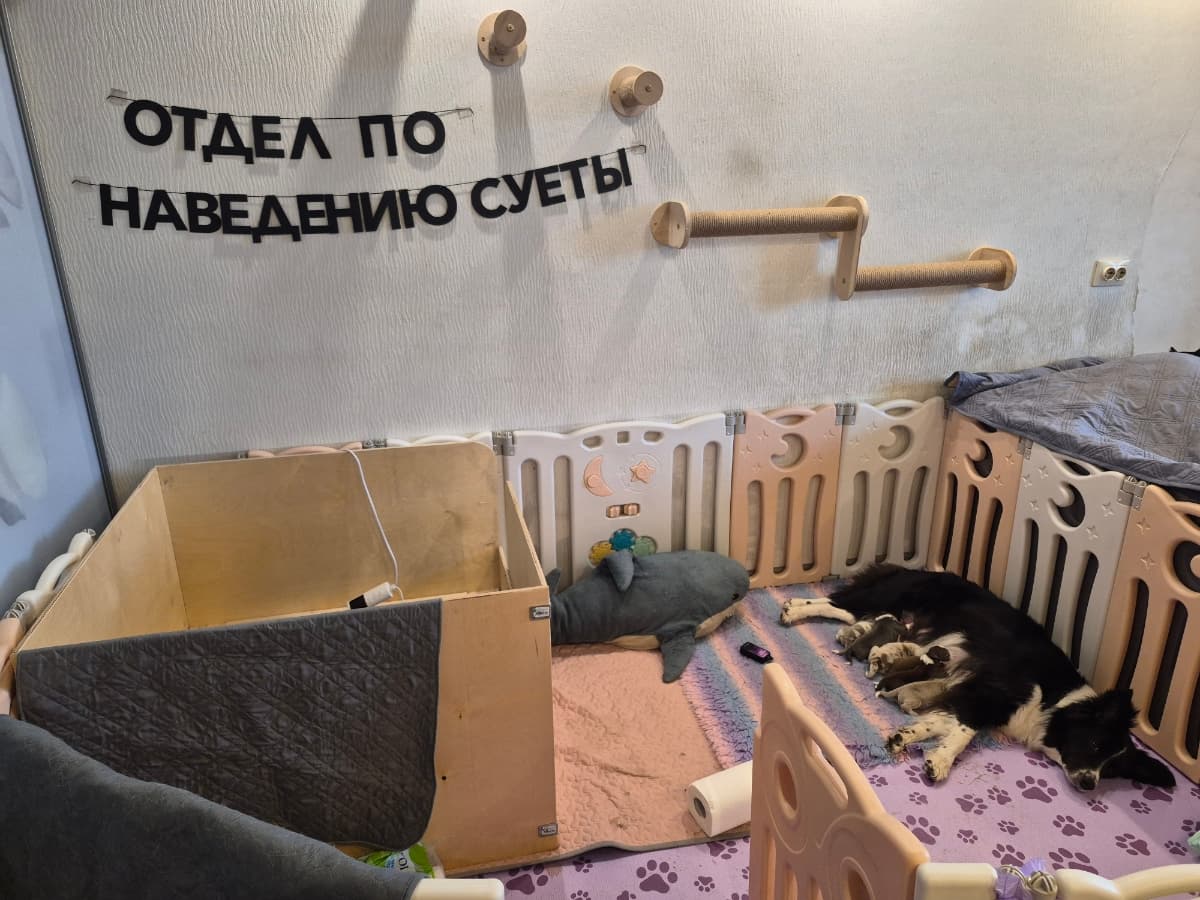 Фотография покупателя: Гирлянды