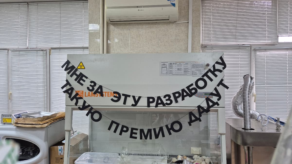 Фотография покупателя: Гирлянды