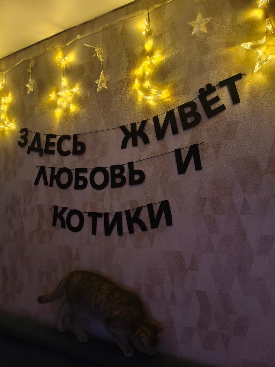 Фотография покупателя: Гирлянды