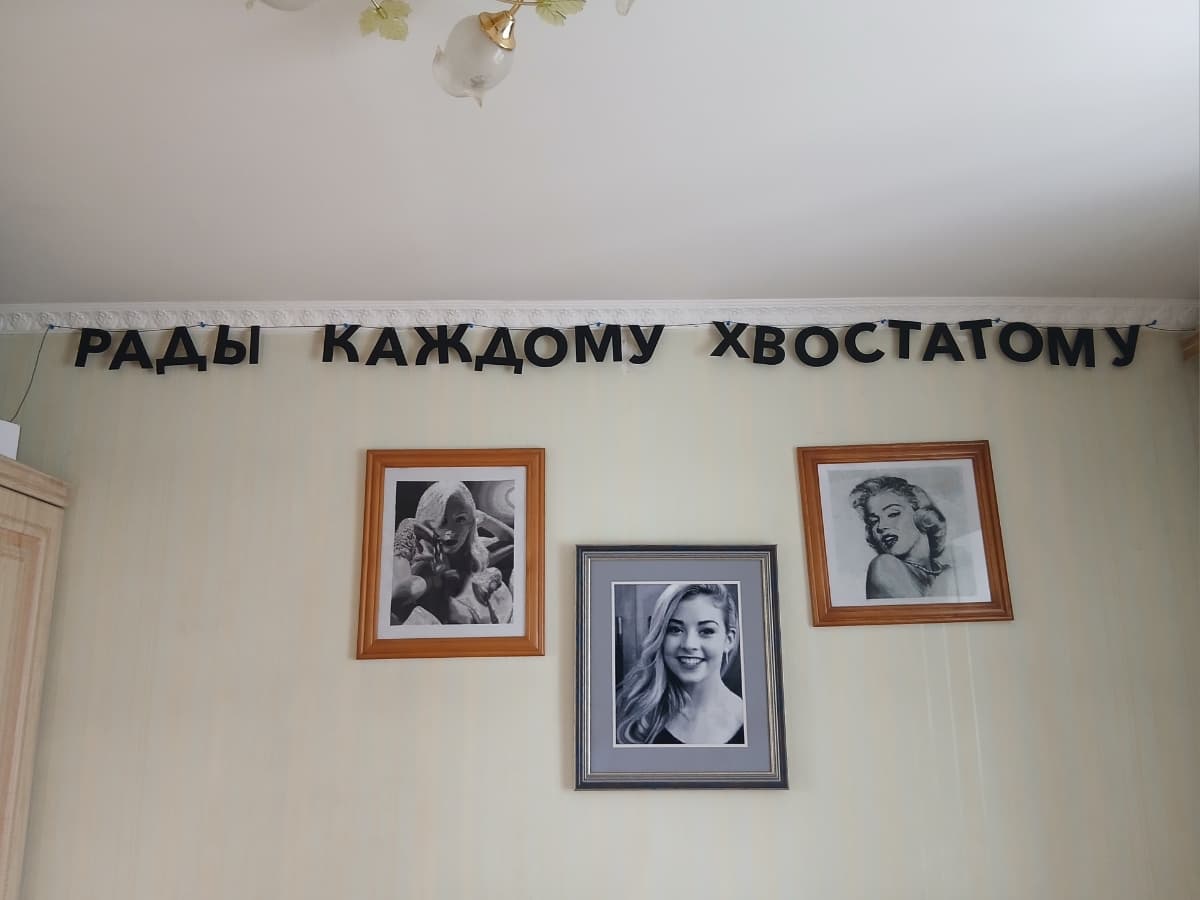 Фотография покупателя: Гирлянды