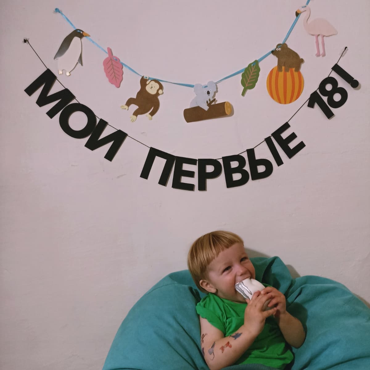 Фотография покупателя: Гирлянды