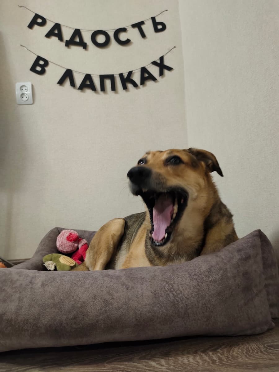 Фотография покупателя: Гирлянды
