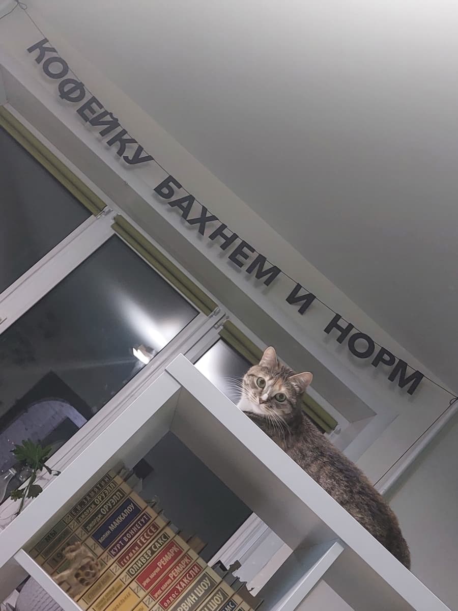 Фотография покупателя: Гирлянды