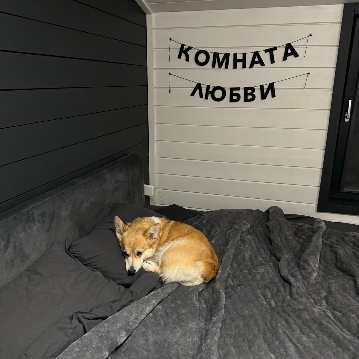 Фотография покупателя: Гирлянды