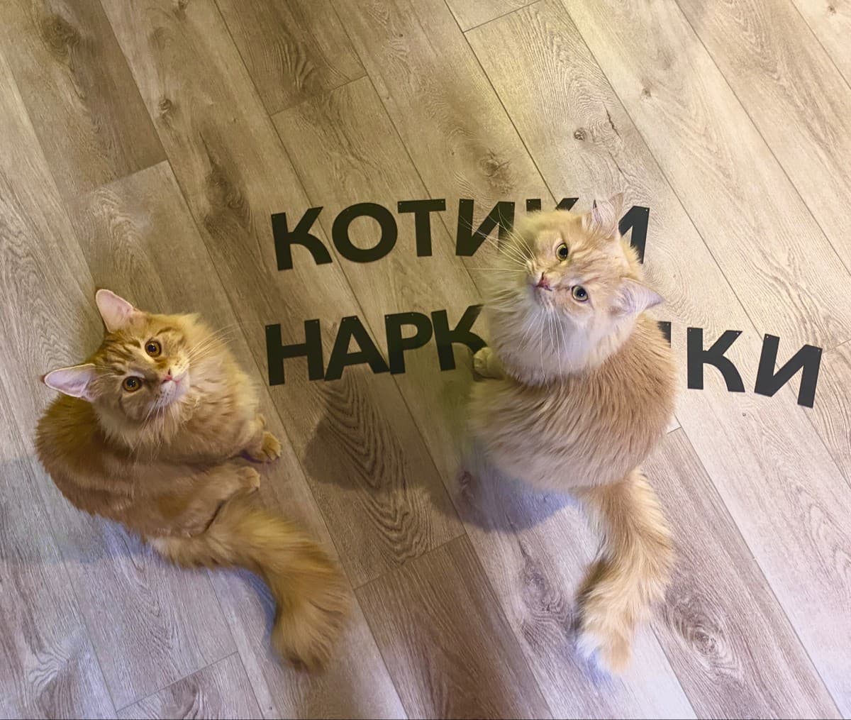 Фотография покупателя: Гирлянды