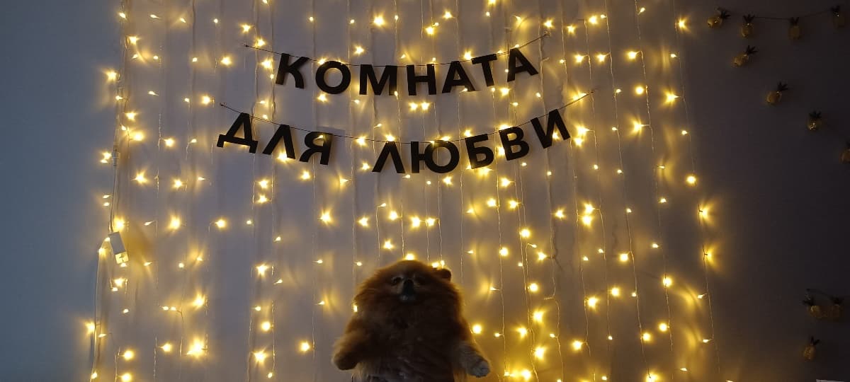 Фотография покупателя: Гирлянды