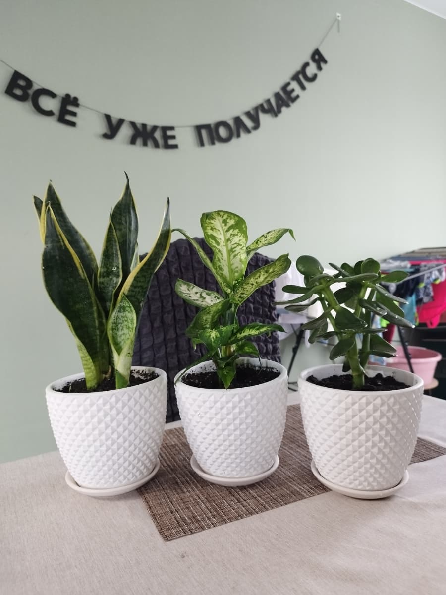 Фотография покупателя: Гирлянды