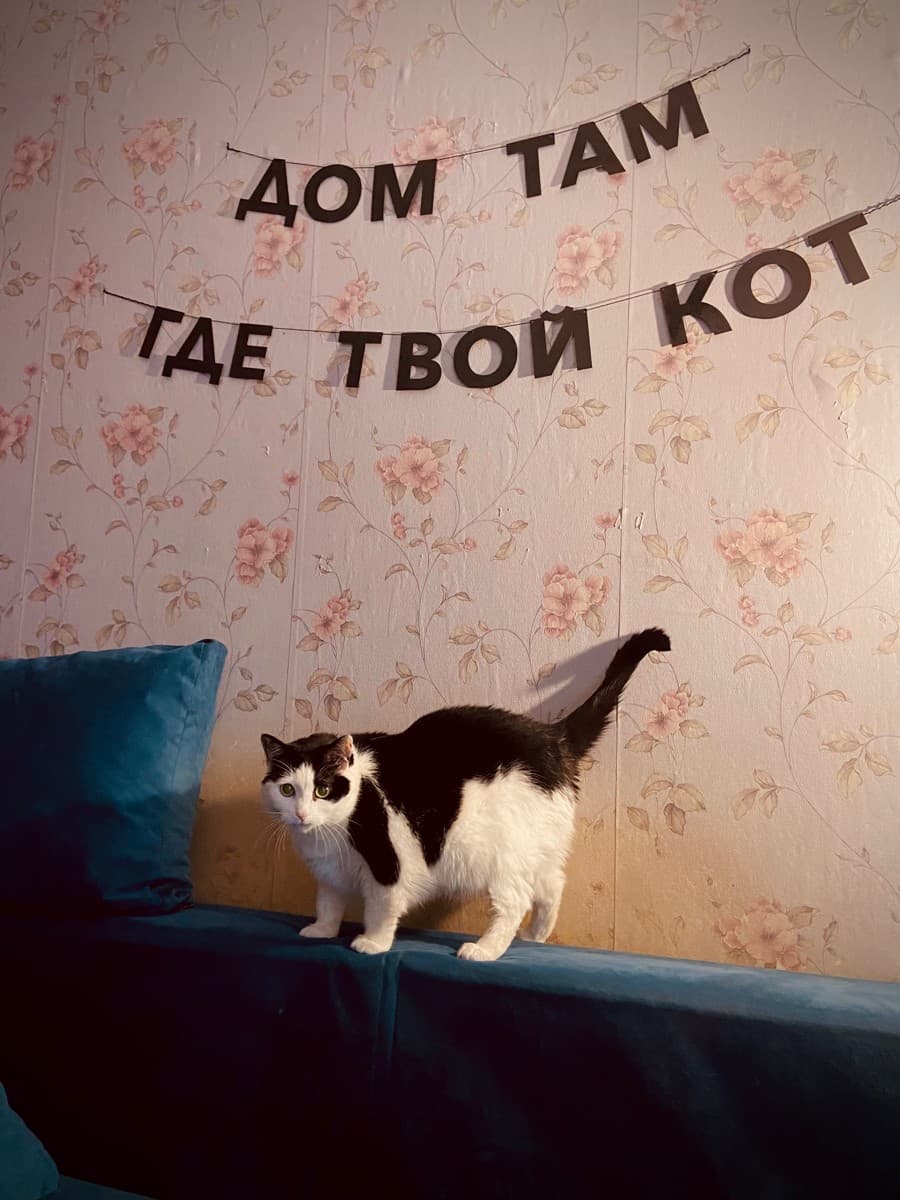 Фотография покупателя: Гирлянды