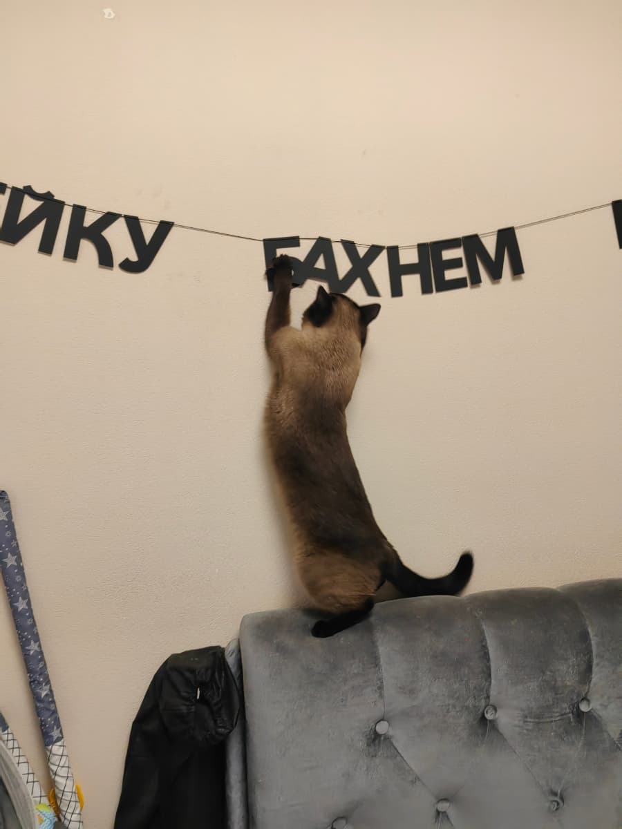 Фотография покупателя: Гирлянды