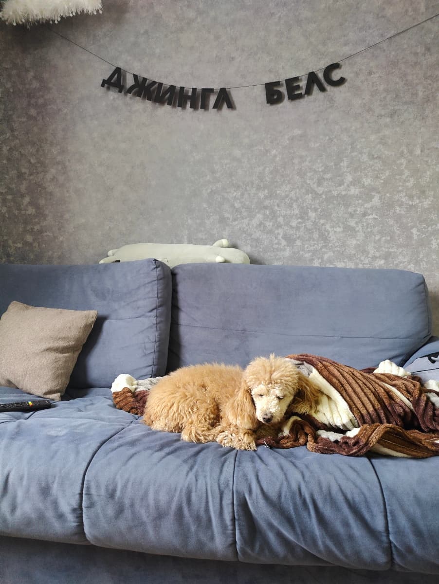 Фотография покупателя: Гирлянды