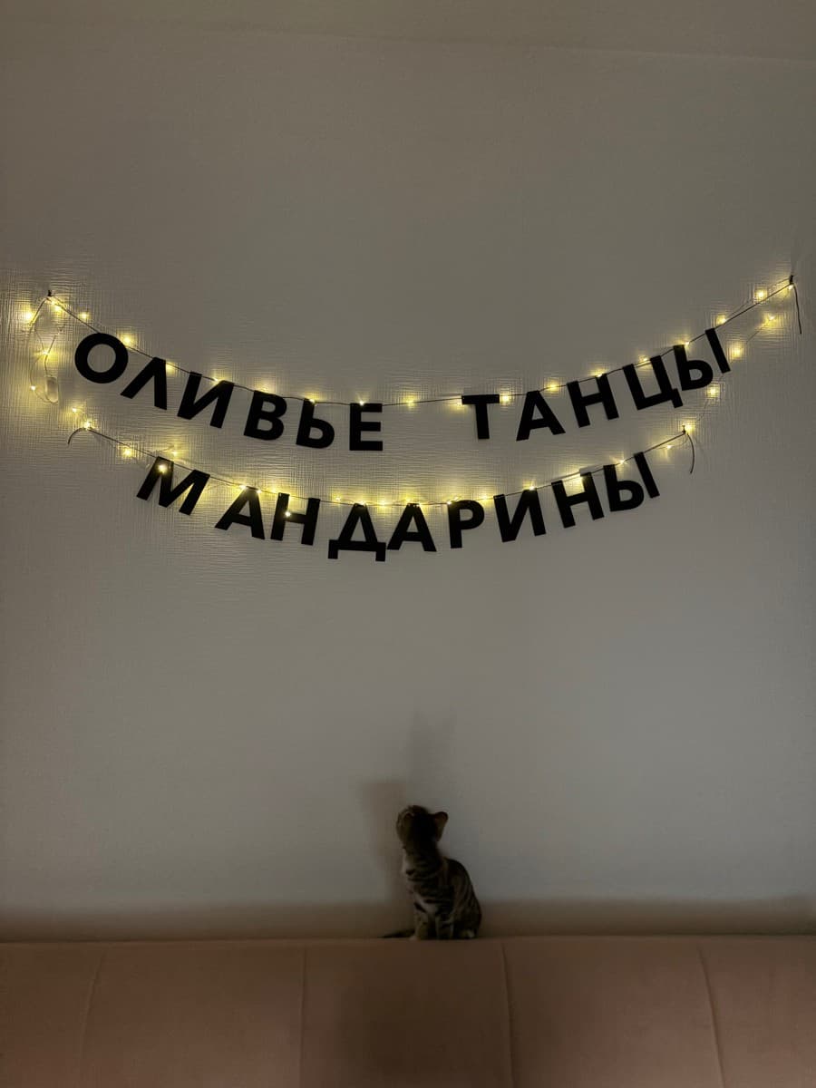 Фотография покупателя: Гирлянды
